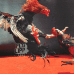 Penggerebekan Arena Sabung Ayam di OKI, Polisi Bubarkan Judi yang Resahkan Warga