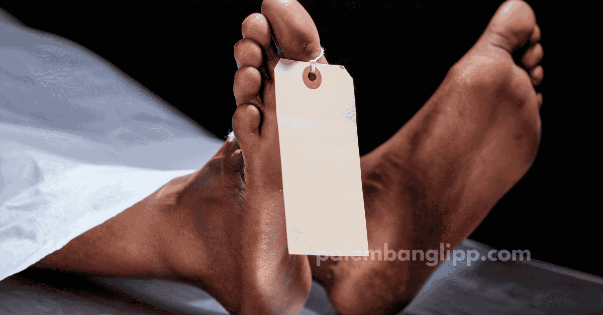 Sopir Angkot Tewas di Dalam Mobil, Diduga Alami Serangan Jantung Usai Masturbasi