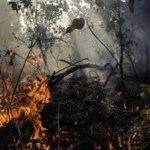 Kepala BPKHK: Kebakaran Hutan dan Lahan di Sumsel Meningkat pada Agustus-Oktober 2025