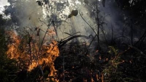 Kepala BPKHK: Kebakaran Hutan dan Lahan di Sumsel Meningkat pada Agustus-Oktober 2025