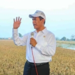 Harga Beras Meroket, Menteri Pertanian: “Baru Naik Saja Sudah Ribut”