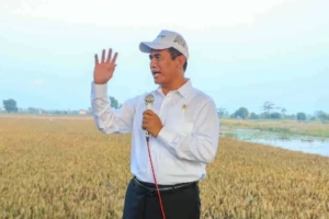 Harga Beras Meroket, Menteri Pertanian: “Baru Naik Saja Sudah Ribut”