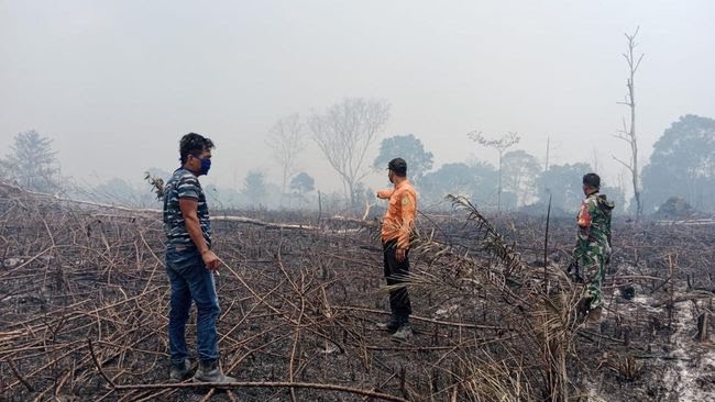Kebakaran Lahan Meluas, Hutan Lindung di Muba Terbakar