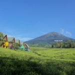 Pasca Erupsi, Gunung Dempo Tumbuh Lebih Tinggi