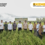 Pemerintah Kembangkan Lumbung Pangan Baru di Papua Selatan