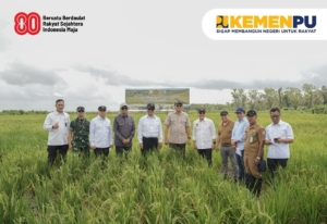 Pemerintah Kembangkan Lumbung Pangan Baru di Papua Selatan