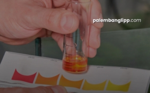 Kasus Keracunan MBG Bandung Barat: Nitrit Tinggi Ditemukan, 1.315 Korban