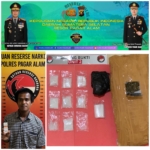 860 Gram Ganja dan 78 Gram Sabu Disita dari Kamar Hotel, Kurir Lintas Kota Dibekuk