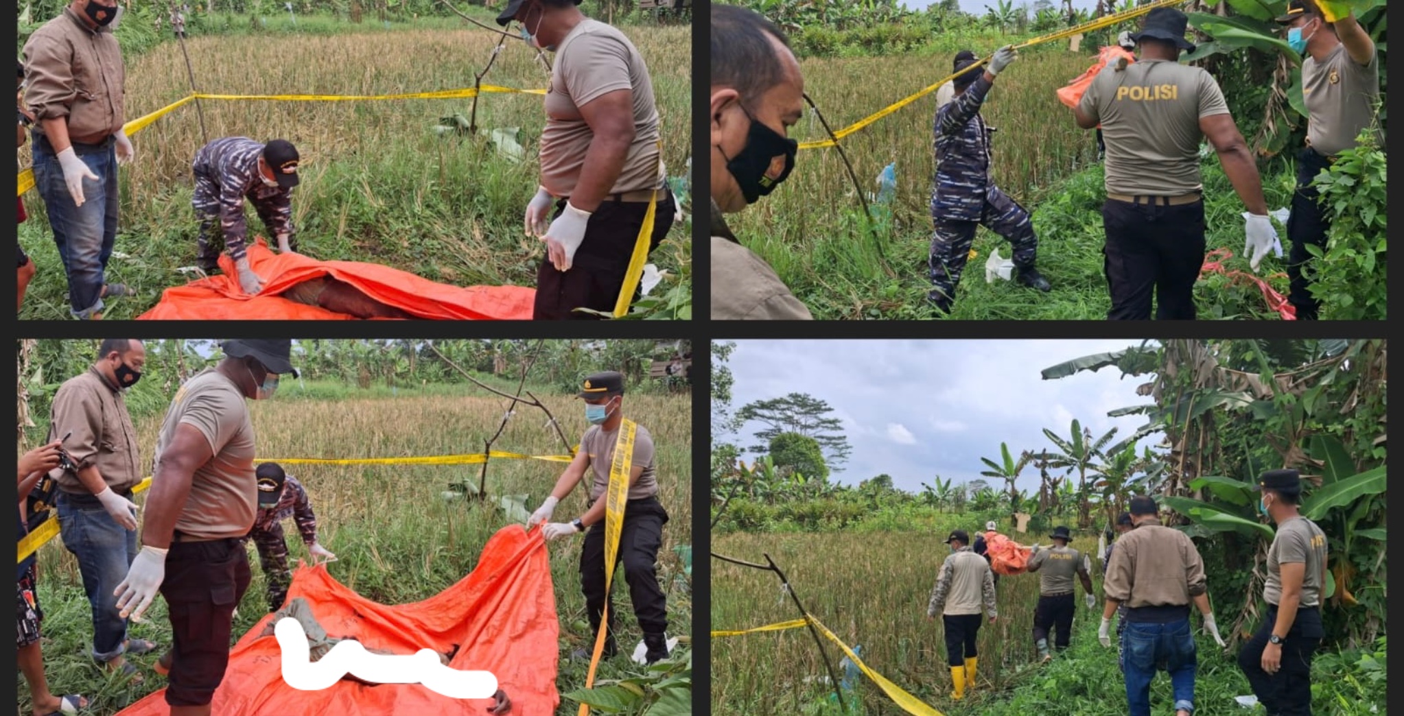 Mayat Perempuan Tanpa Identitas Ditemukan di Pinggir Sawah Desa Merah Mata Banyuasin