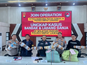 Operasi Gabungan Polda Sumsel Bongkar Ladang Ganja 20 Hektar di Empat Lawang, 220 Kg Ganja dan Bandar Utama Ditangkap