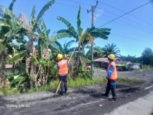 Hadapi Cuaca Ekstrem, PLN UP3 Bengkulu Perkuat Keandalan Jaringan Listrik melalui Pemeliharaan Vegetasi