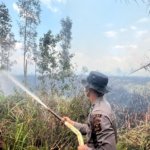 26 Personel Gabungan Padamkan Karhutla 9 Hektare di PT MBJ