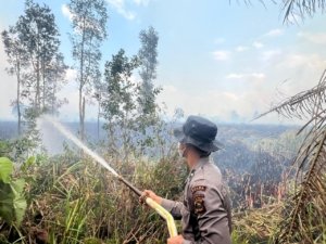 26 Personel Gabungan Padamkan Karhutla 9 Hektare di PT MBJ